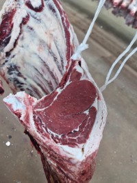 Australian Quality Beef
