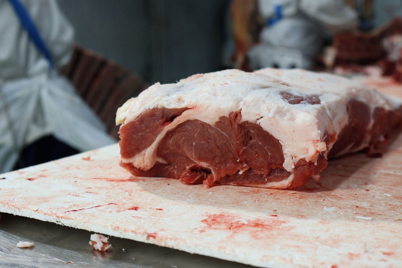 Australian Camel Meat