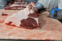 Australian Camel Meat